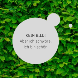 Platzhalterfoto.jpg